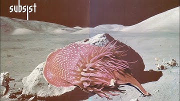 Translate - Mercurial Receptors [SUBSIST.75D]