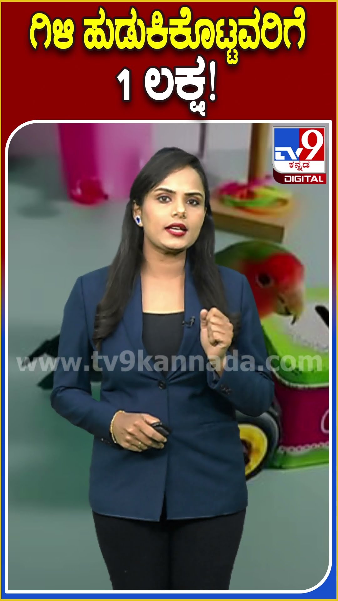 ಗಿಳಿ ಹುಡುಕಿಕೊಟ್ಟವರಿಗೆ 1 ಲಕ್ಷ! #Parrot #Tv9D