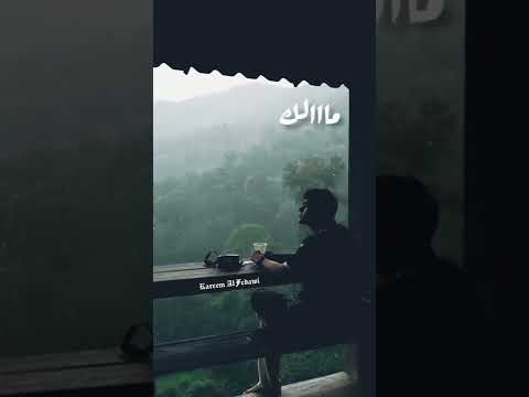 مالك مش باين ليه داري ياقلبي بالكلمات حالات واتس حمزه نمره