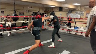 Sparring session USA 🇺🇸