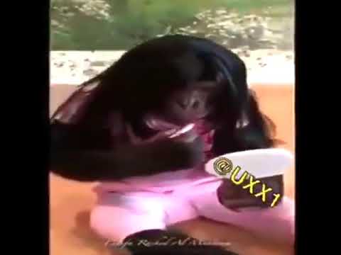 تدلع علي يا حبيبي ما دام انا المولع