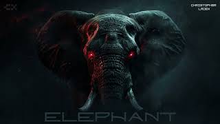 Christopher Ladex - ELEPHANT