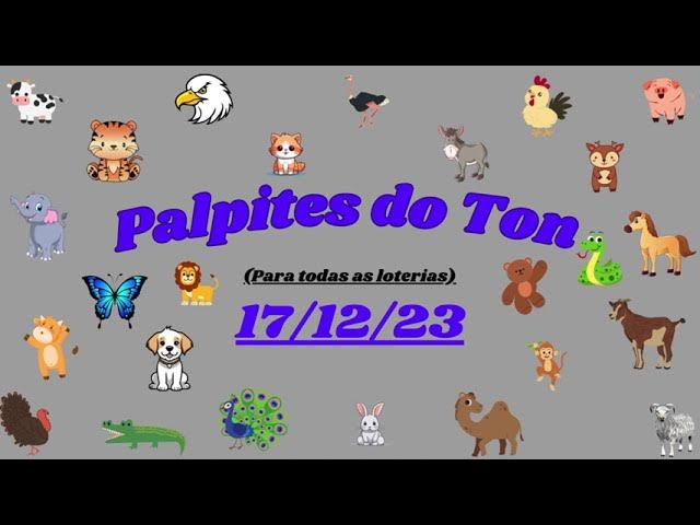 Como fazer meu canal aparecer na pesquisa do  2019 