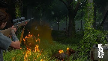 Per act Permadeath hillcrest | Grounded The last of us part 2 (no deaths)