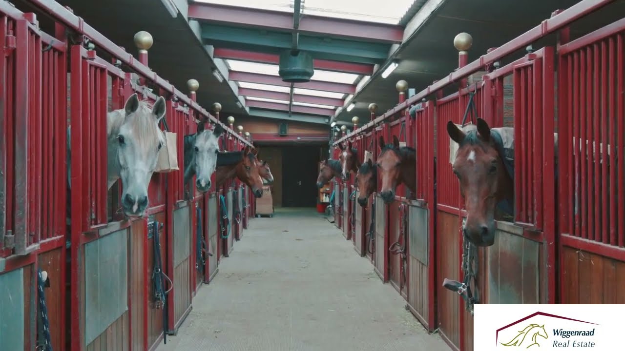 Equestrian estate for events NL - Reitsportzentrum Events NL