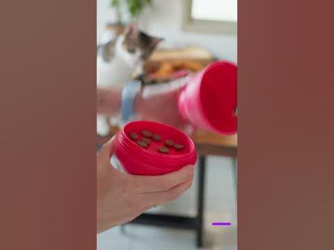 Игрушка конг для собак #shorts - YouTube