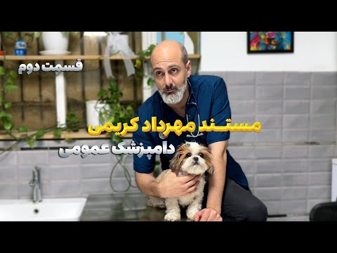 زندگی حرفه ای دکتر مهرداد کریمی قسمت دوم