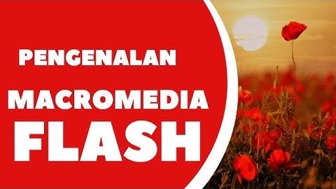 Pengenalan Macromedia Flash