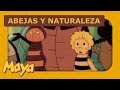 Abejas y naturaleza 🐝🐝 ¿Dónde ha ido el agua?