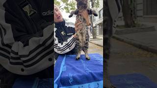 Собачий ринок Одеса Одесса котики цуценя #животные #милота #dog #dogs #счастье #собака #суперсобака