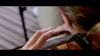 Video thumbnail of "Sweet Caroline - Neil Diamond (Violin, Cello & Piano in Lockdown - Trio Vivo)"