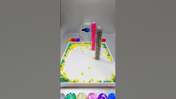 FighterFish 🐳 Oddly Satisfying Reverse Video. #shorts #viral #reverse  #fish