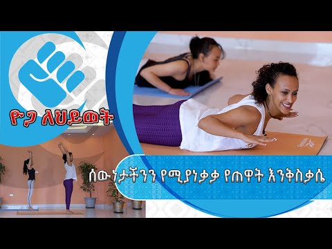 ቪዲዮ: ቡችላ እንዴት እንደሚመረጥ 14 ደረጃዎች (ከስዕሎች ጋር)