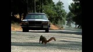 GEICO - Squirrels (2001, USA)