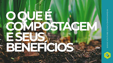 Como é feita a compostagem passo a passo?