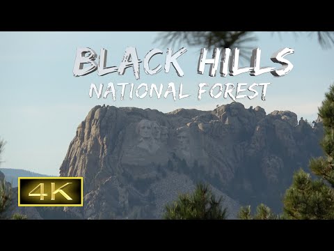 BLACK HILLS NATIONAL FOREST SOUTH DAKOTA USA?? #blackhills #blackhill #nationalforest #southdakota