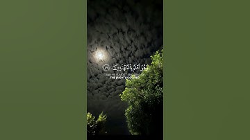 #قران_كريم #قرآن #تلاوة_جميلة #شيخ_ياسر_الدوسري #راحة_نفسية #قرآن #اكسبلور #quran #fyp #explore