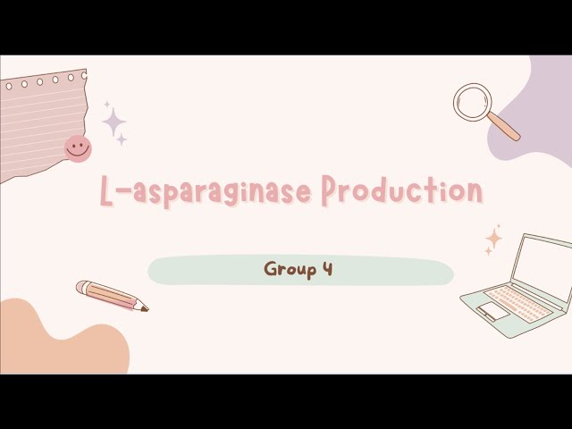 Group 4 BTDP - L-asparaginase Production class=