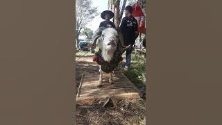 Semi kontes domba  garut di pamidangan arlamba rancabango dalam rangka hari jadi PAC HPDKI tarogong