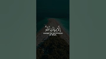 رعد الكردي - سورة التغابن