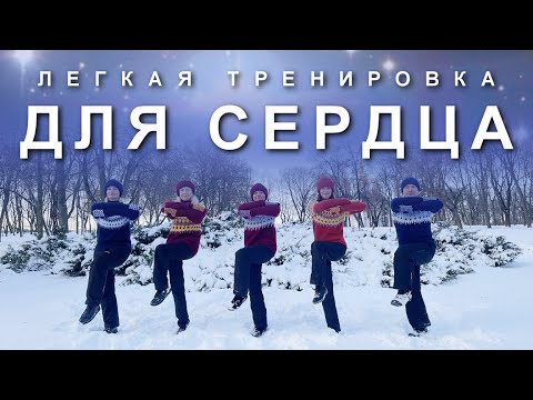 ЛЕГКАЯ ТРЕНИРОВКА ДЛЯ СЕРДЕЧНО-СОСУДИСТОЙ СИСТЕМЫ