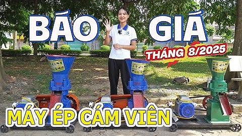 " BÁO GIÁ "THÁNG 8/2025  - Giá Máy ép Cám Viên  1 Pha Tăng Mạnh - Bình Quân