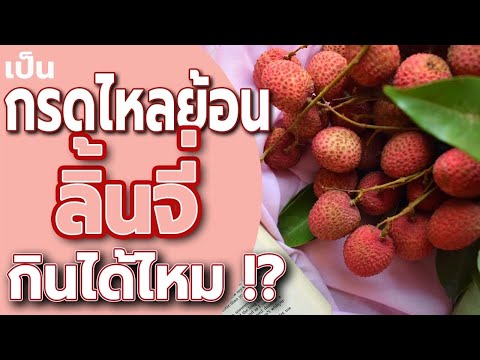 เป็นกรดไหลย้อน กิน ลี้นจี่ ได้ไหม? - วิธีรักษากรดไหลย้อน