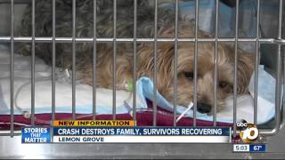 Survivors recovering after Lemon Grove crash kills 3 people, 2 dogs