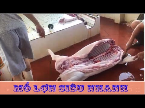 Video: Làm Thế Nào để Giết Mổ Một Con Lợn