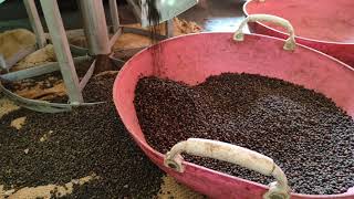 cleaning of black pepper by using modern technology #Dr krushika