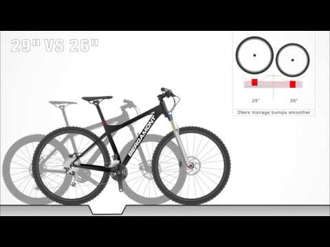 Дюймы-  29 vs. 26. Какой лучше горный велосипед