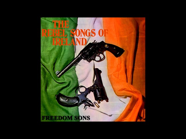 Freedom Sons - The Foggy Dew | Irish Rebel Music class=