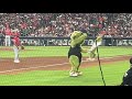 Orbit dances to single ladies at the astros game