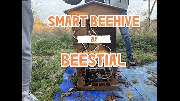 Smart beehive by Beestial