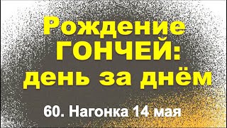 Сюжет 60. Нагонка 14 мая