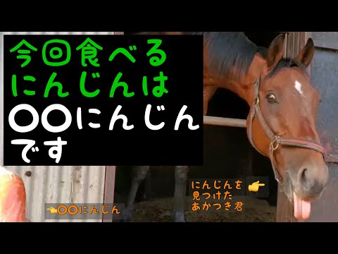 今回たべるにんじんは○○にんじんです