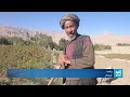 د ۱۴۰۵ د ۱۶ تلې – د ۸ بجو خبرونه/ Amu TV 8pm News 8 October 2026