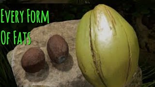 All Forms Of Fats | Green Hell