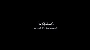 كرومة شاشه سوداء بصوت الشيخ أدريس أبكر من سورة المائدة