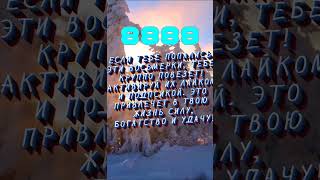 Хронические болезни по знаку зодиака  reggie94mvp  #знакизодиака #астрология #гороскоп