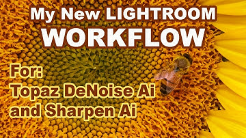 TOPAZ DENOISE AI and SHARPEN AI: My NEW LIGHTROOM WORKFLOW