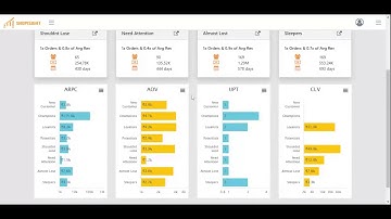 Shopisight Customer Segmentation