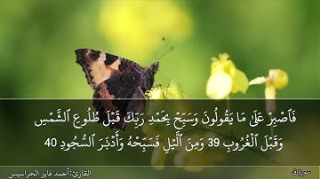 الصفحة 520 سورتيَ ق والذاريات بصوت القارئ المهندس أحمد فايز الحراسيس