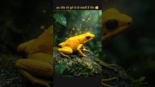Why Is This Tiny Frog More Dangerous Than a Cobra ? The Science Explained 🐍