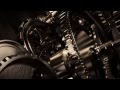 LionsGate Intro For Fiverr 