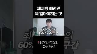 체지방 빼려면 알아야하는 것