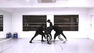 [BLACK6IX - Call My Name] dance practice mirrored