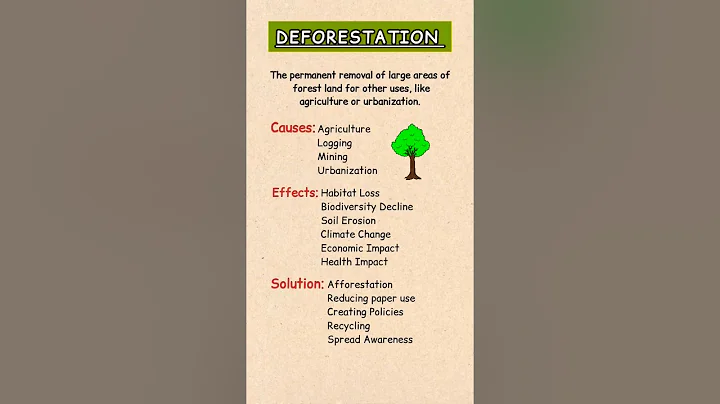 Deforestation 🌳 || Causes, Effect and Solution