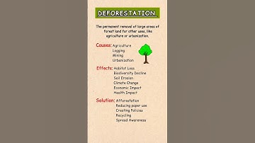 Deforestation 🌳 || Causes, Effect and Solution