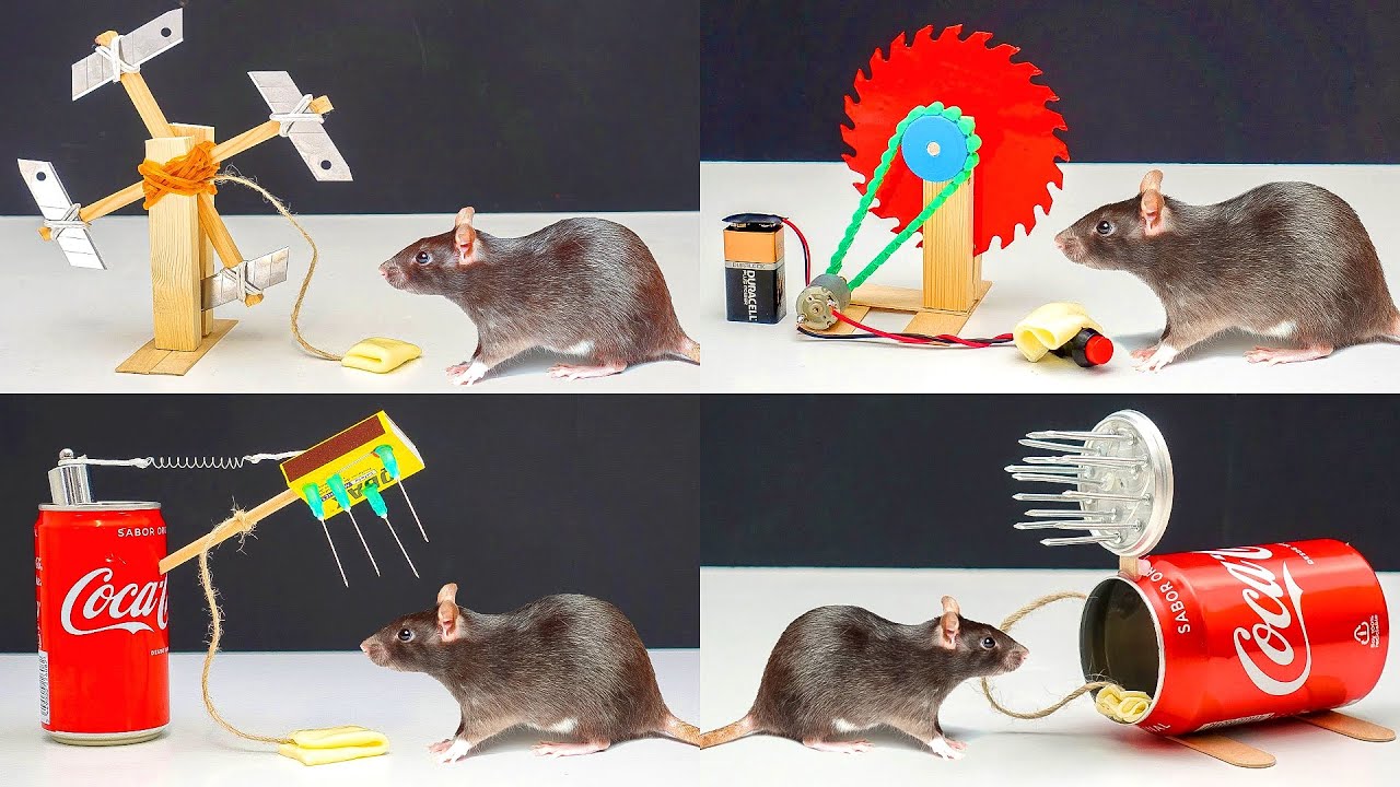 DIY Electric Mouse Trap at home / How to make Electronic Rat Trap 